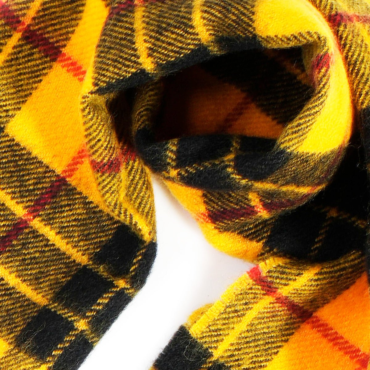 Yellow Stornoway • LE - Lawrence 1920